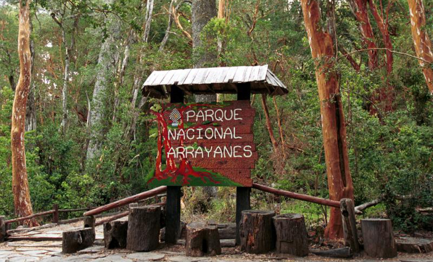 Parque nacional Los Arrayanes