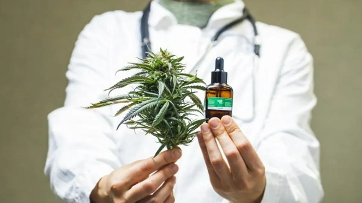 cannabis