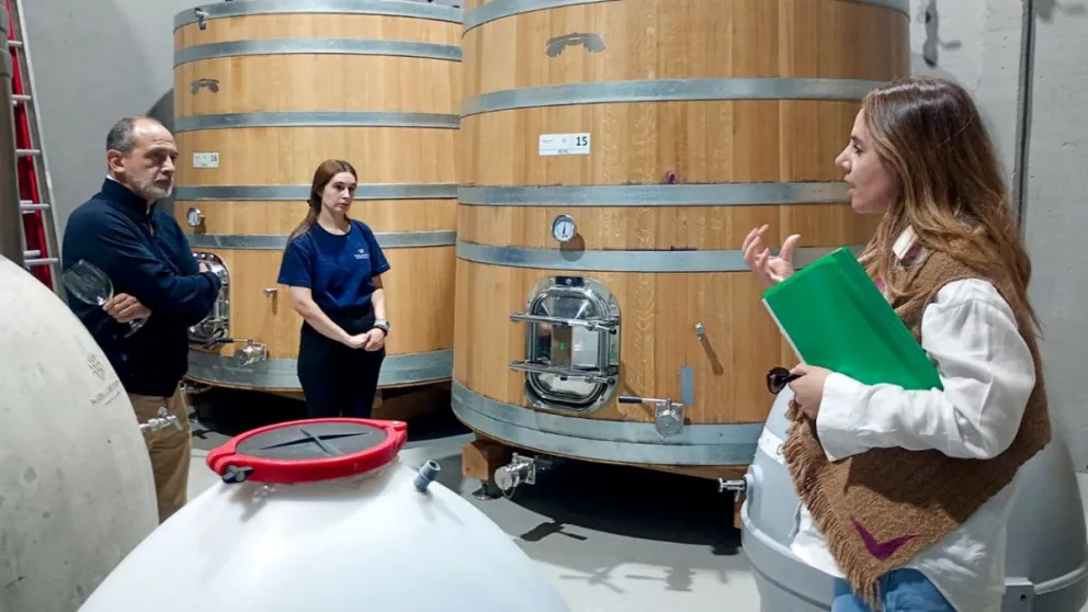 bodega Mabellini Wines