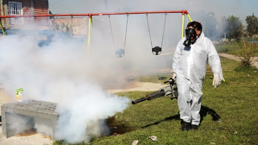 dengue fumigacion