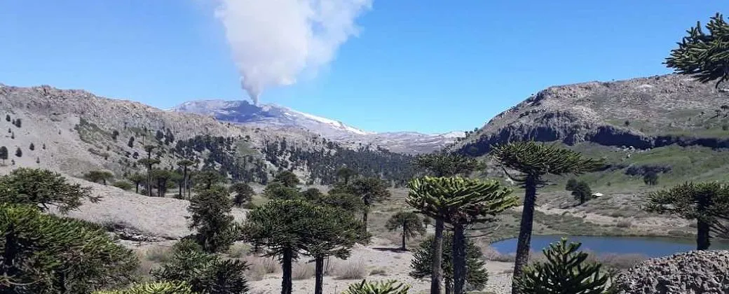 Volcan-Copahue