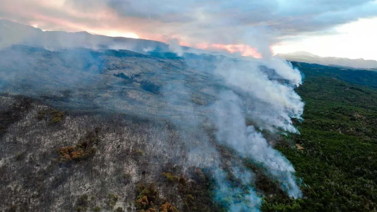 incendio pque nacional los alerces