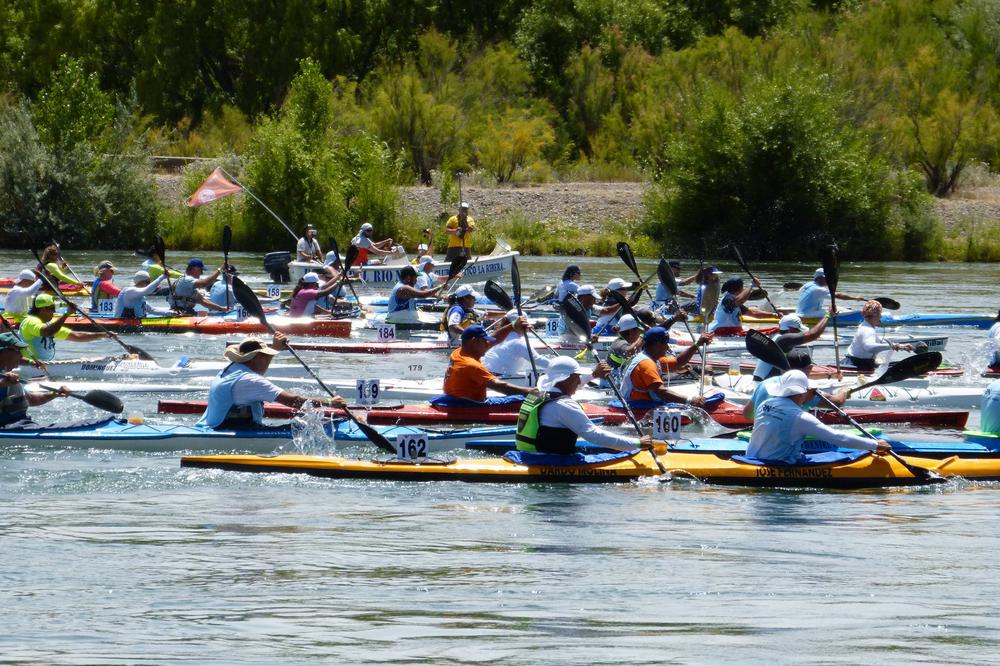 Regata
