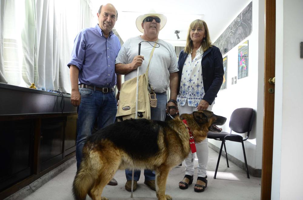Perro Lazarillo
