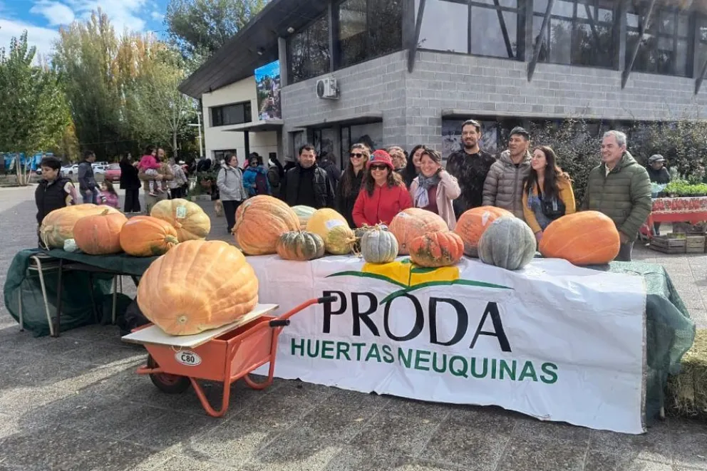 proda