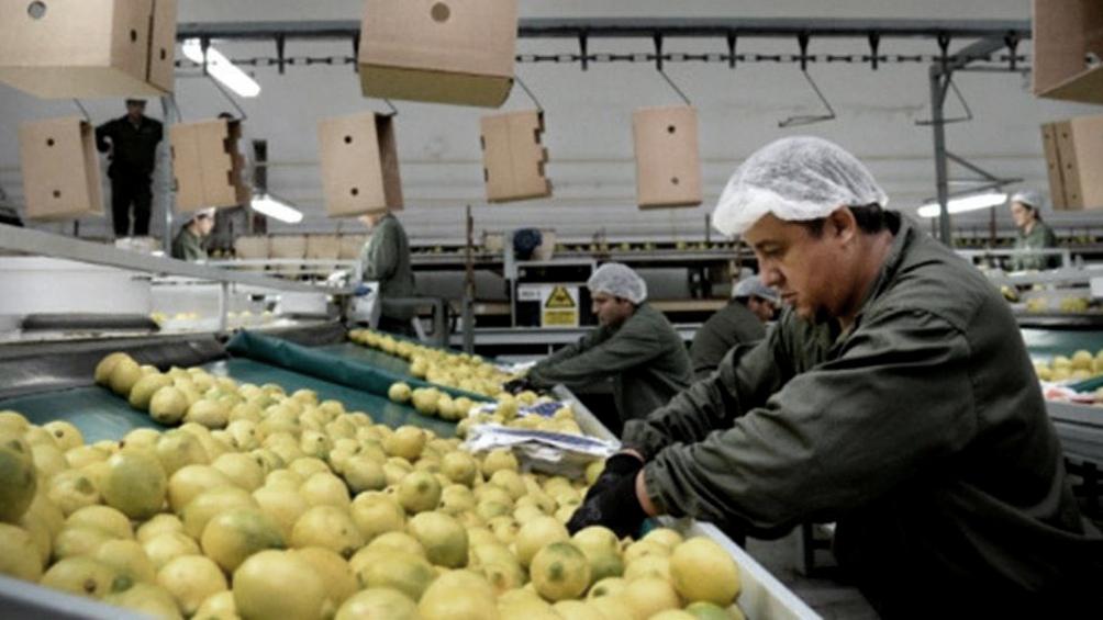 productores