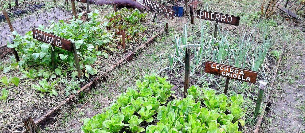 Huerta en Casa