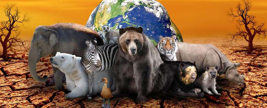 especies