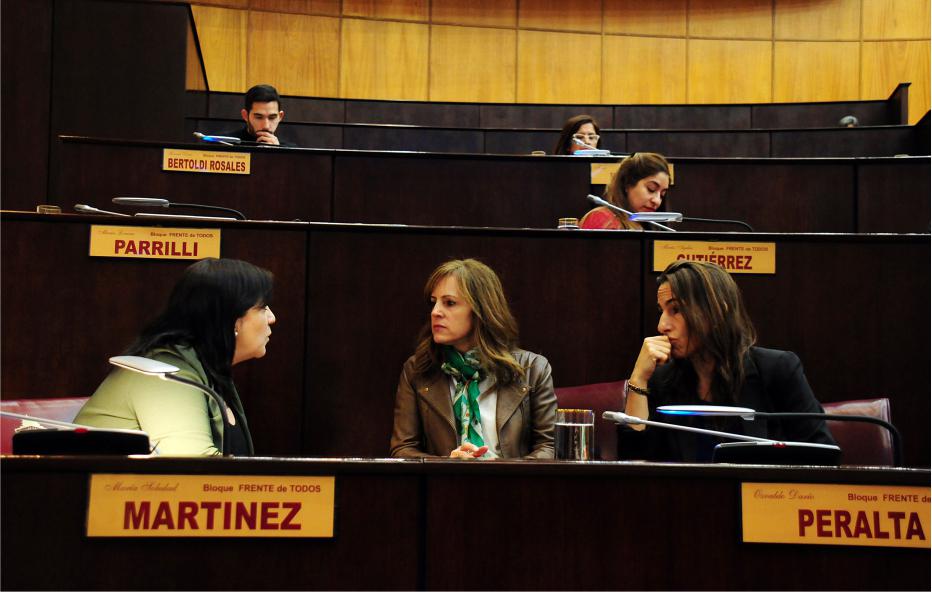 diputadas nqn