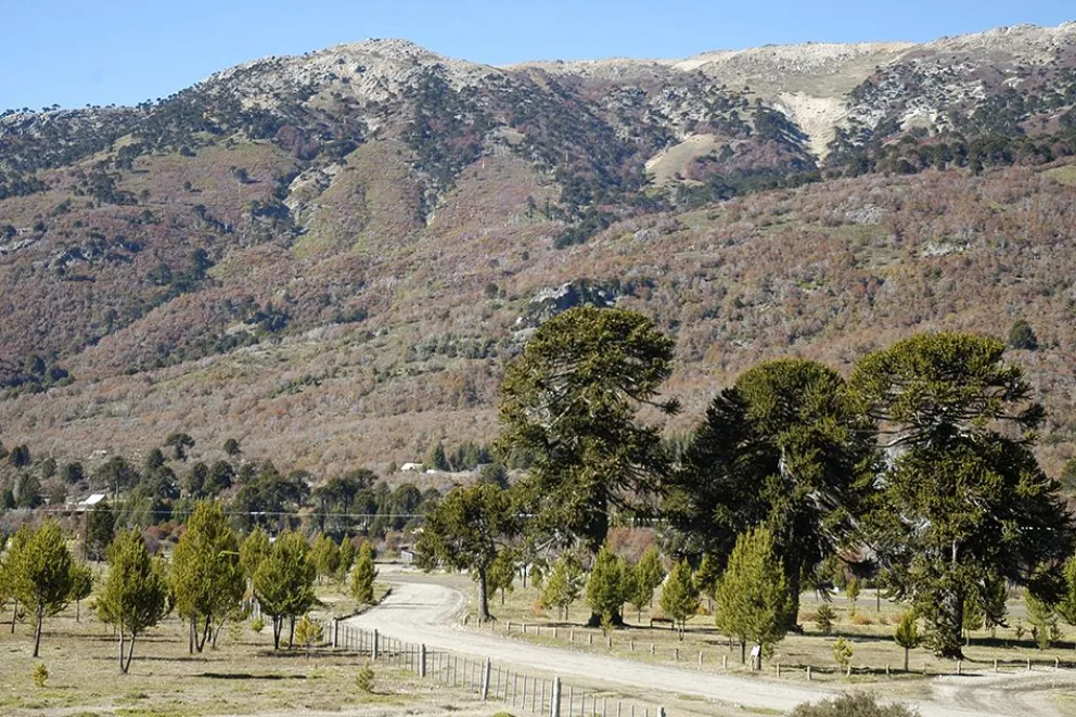 moquehue
