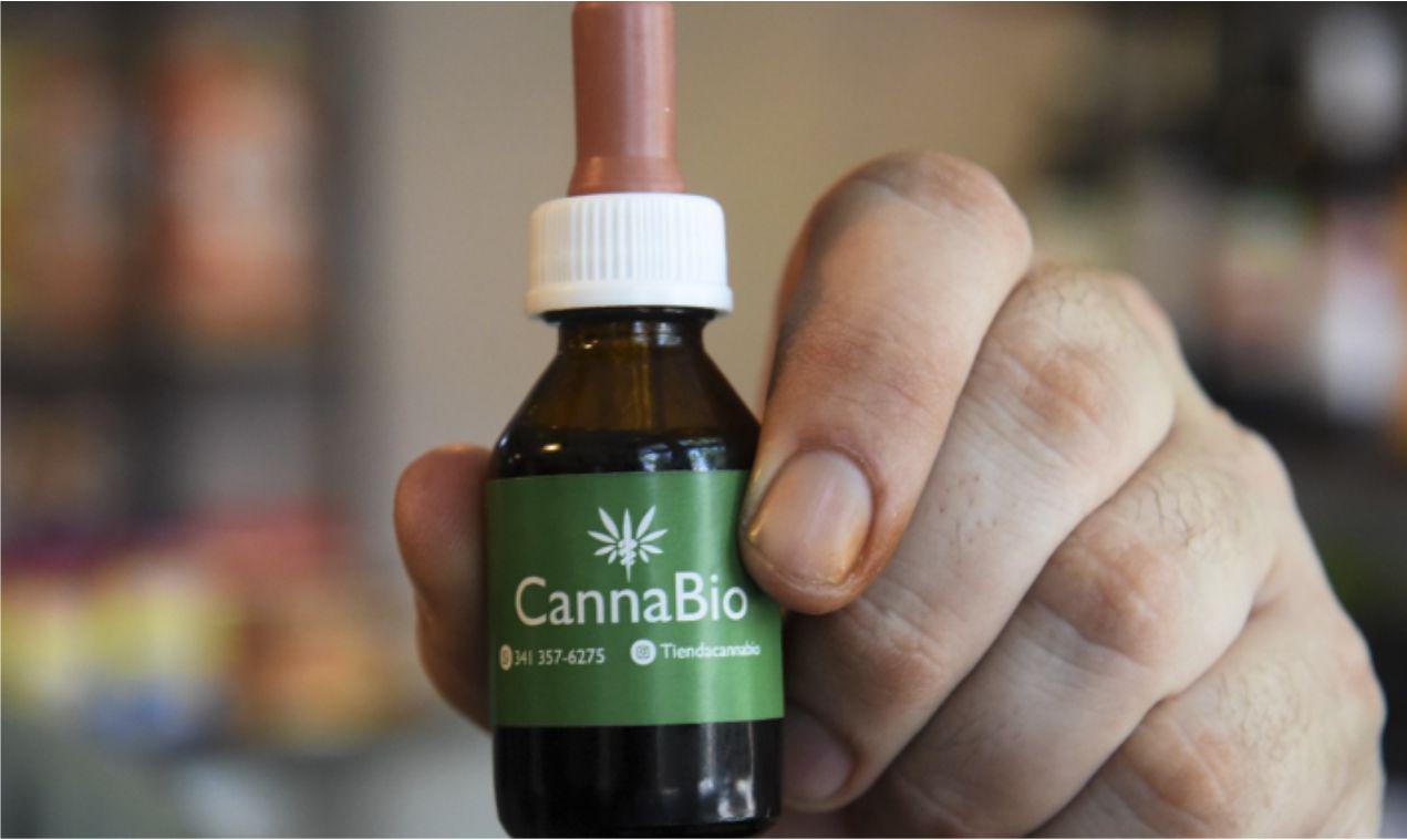 cannabis