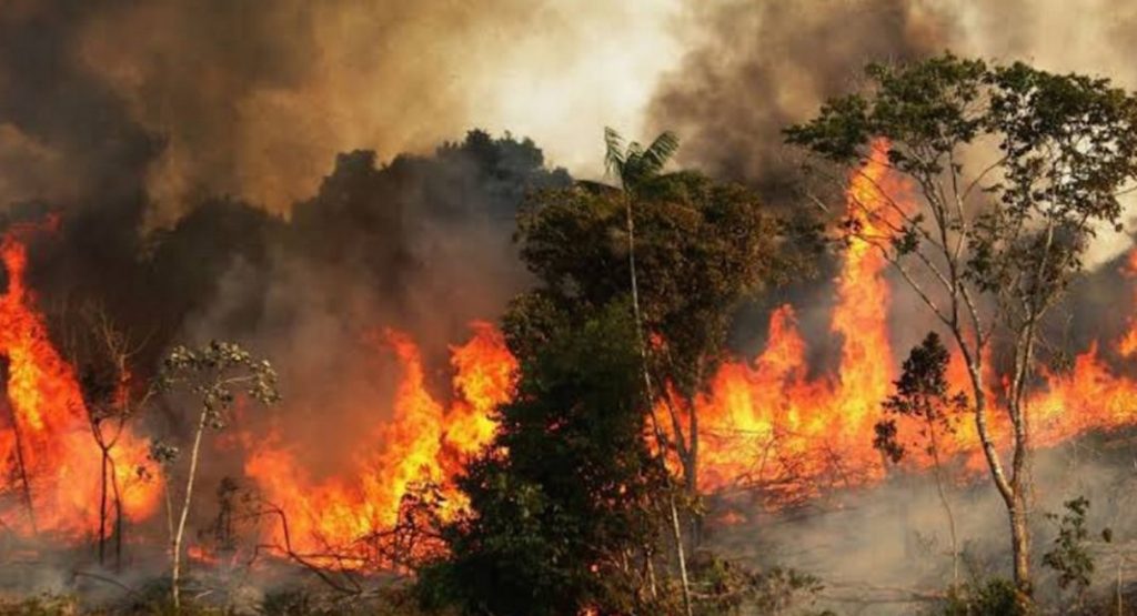 Incendio Amazonas1