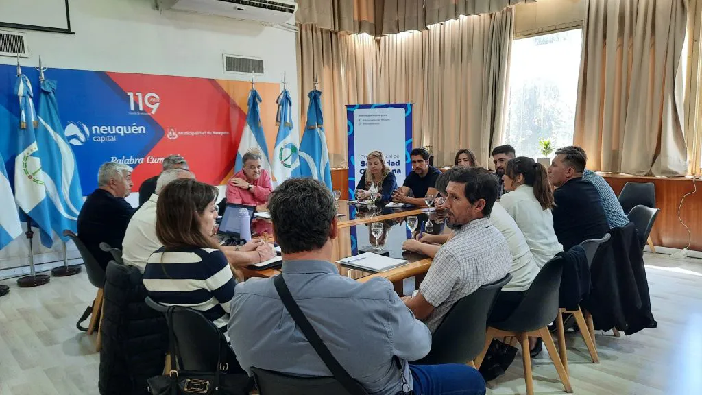 consejo seguridad nqn