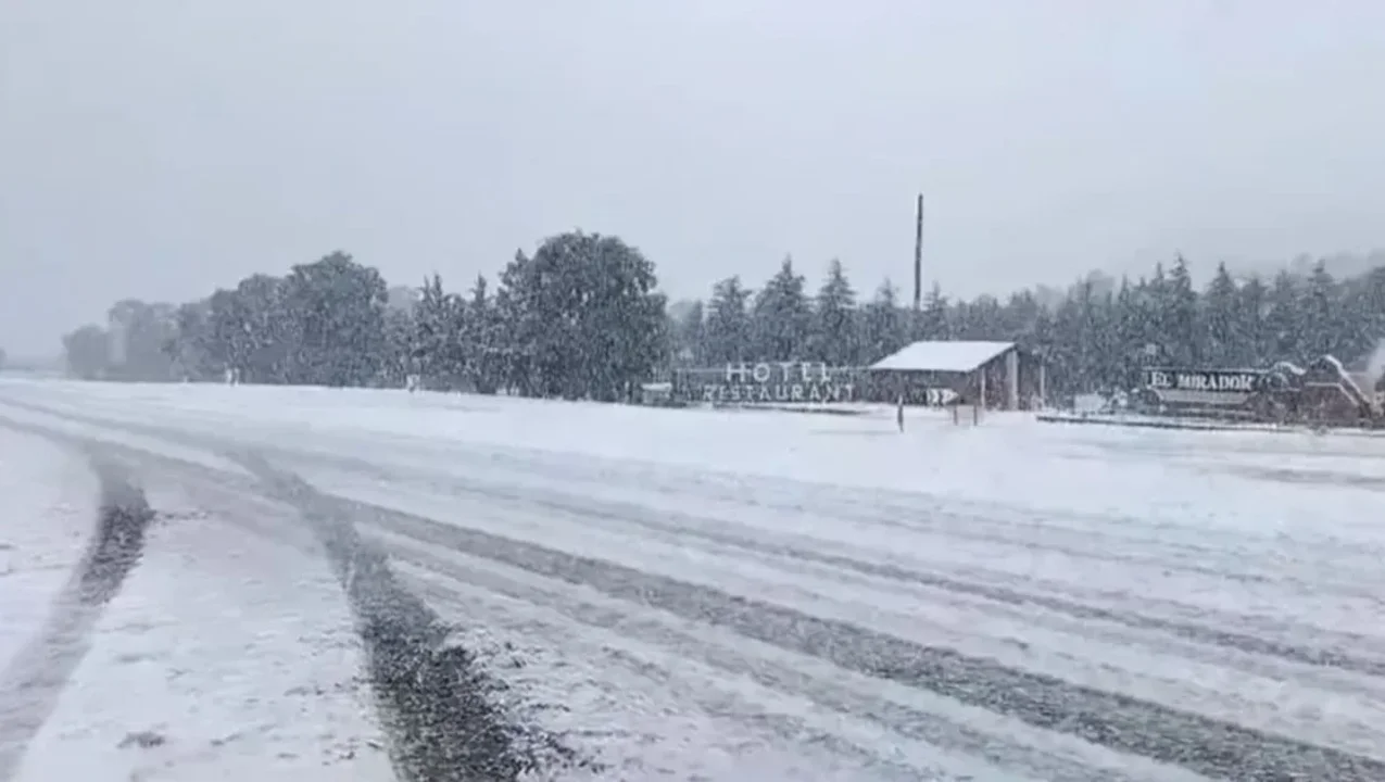 nevada