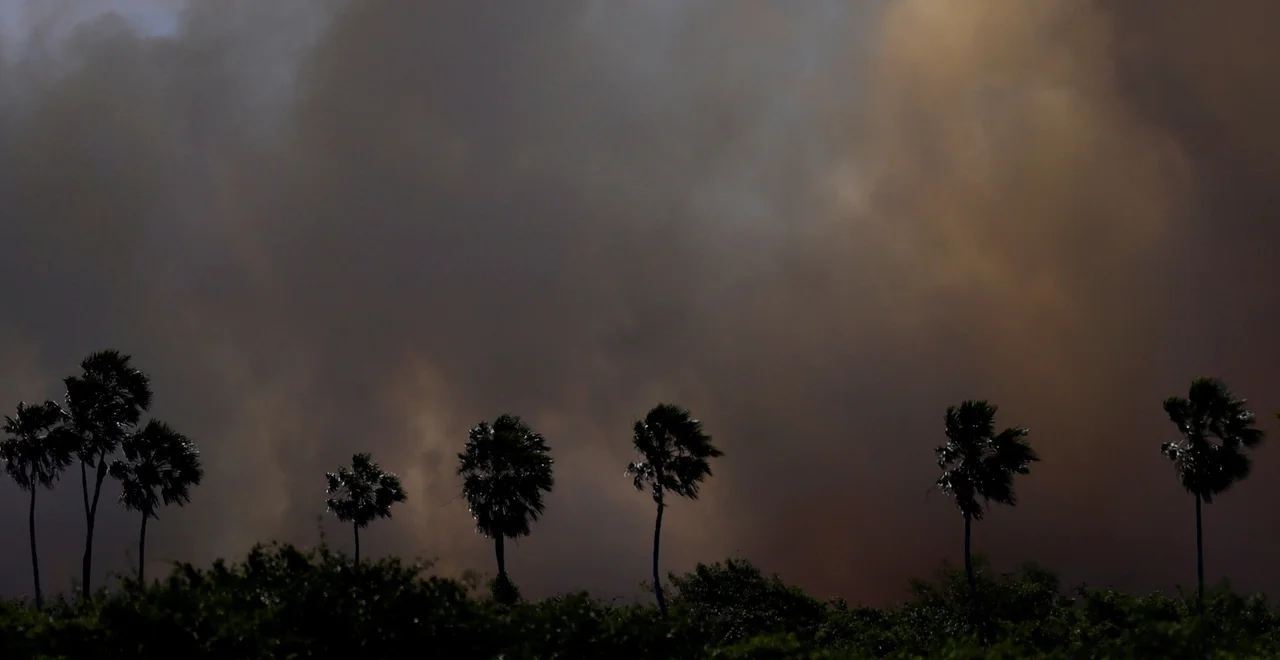 incendio brasil