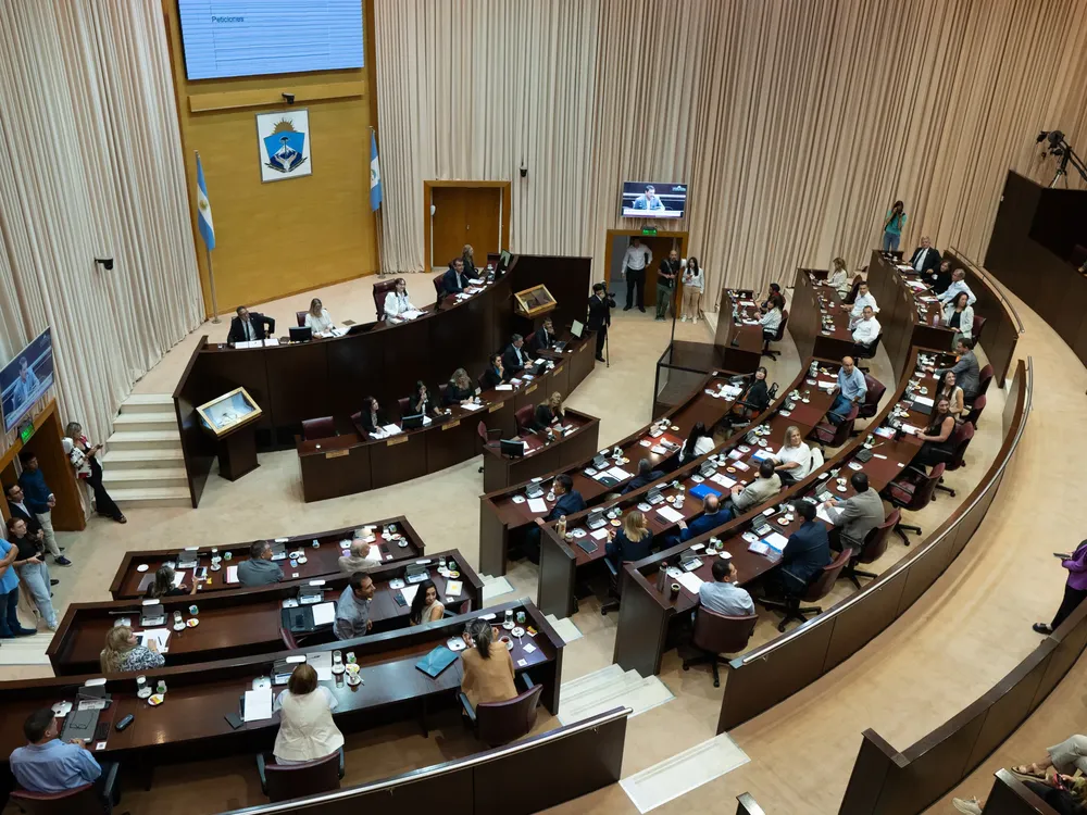 diputados nqn