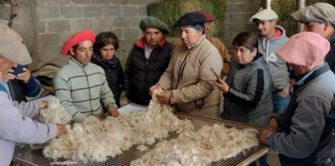 proyectos de desarrollo rural