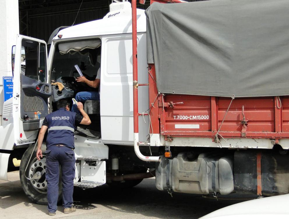 camion senasa