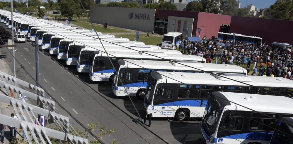 colectivos