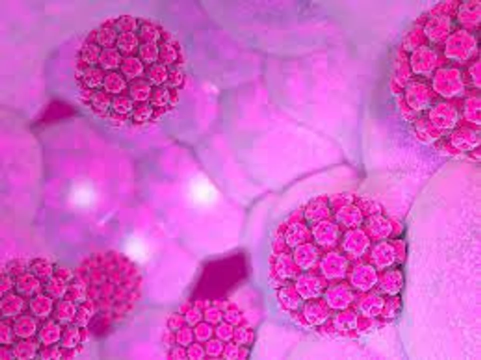 Virus del Papiloma Humano