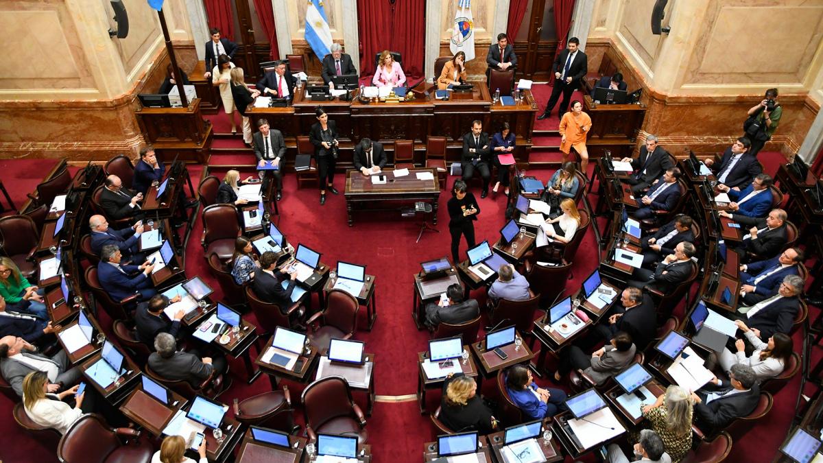 senado