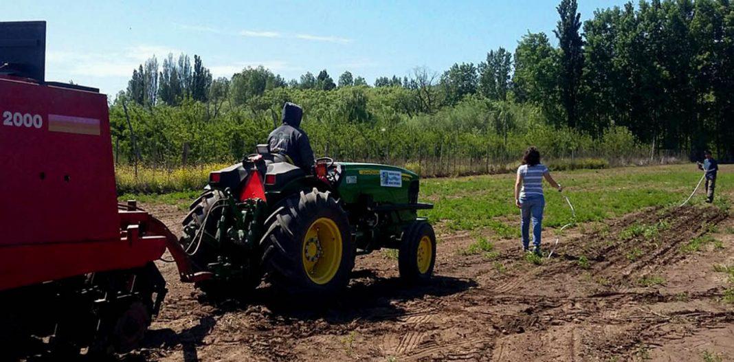 Productores