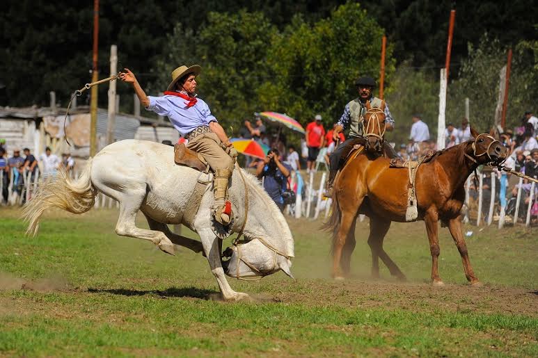 Fiesta del puestero