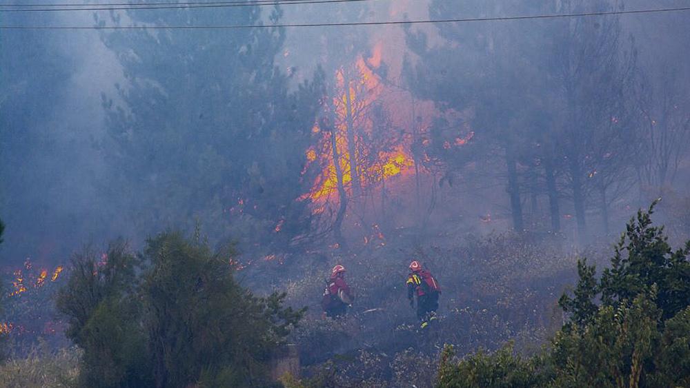 incendio forestal