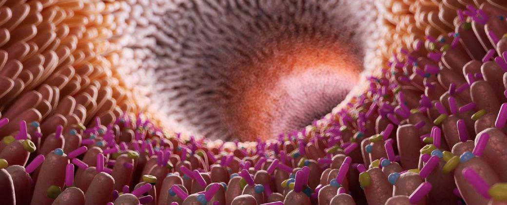 Microbiota