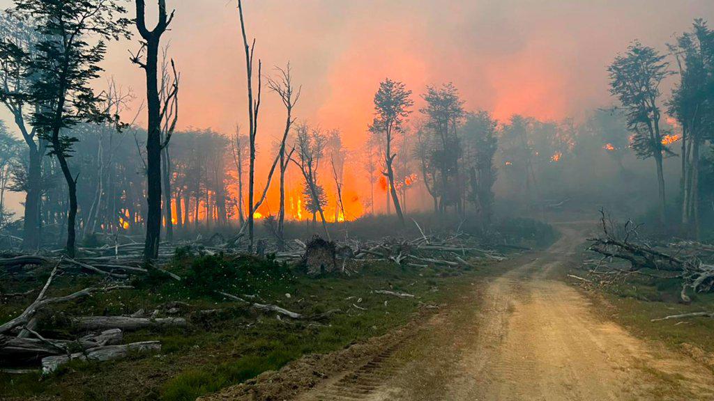 incendio tierra del fuego