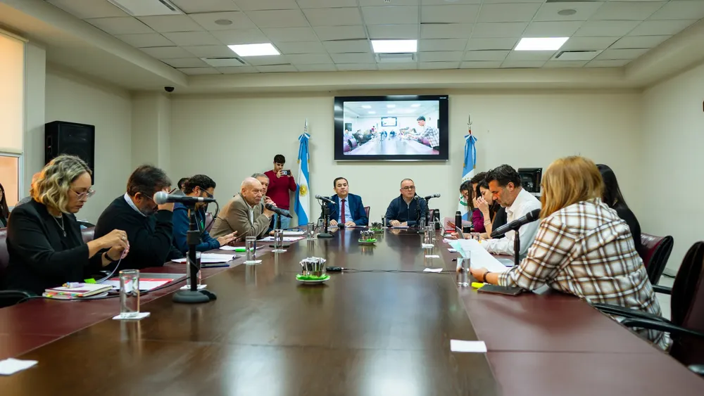 diputados nqn