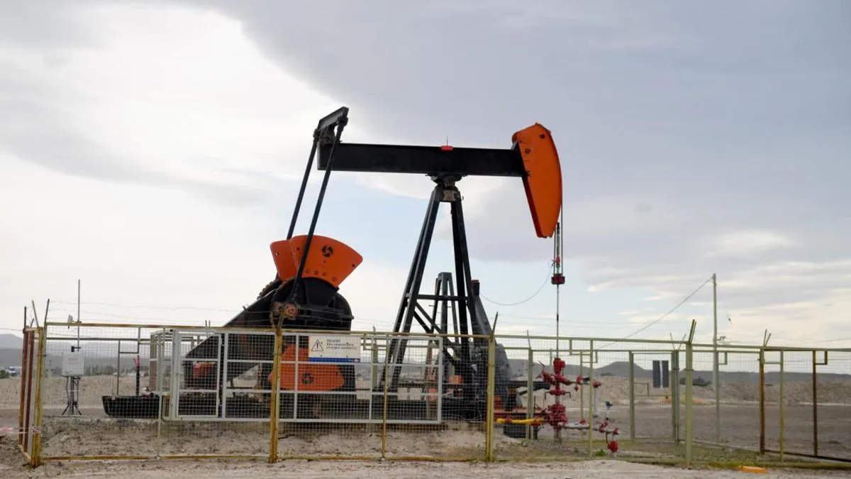 petroleo