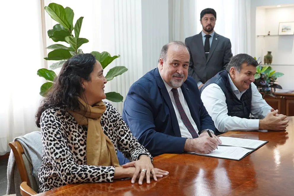 bpm becas